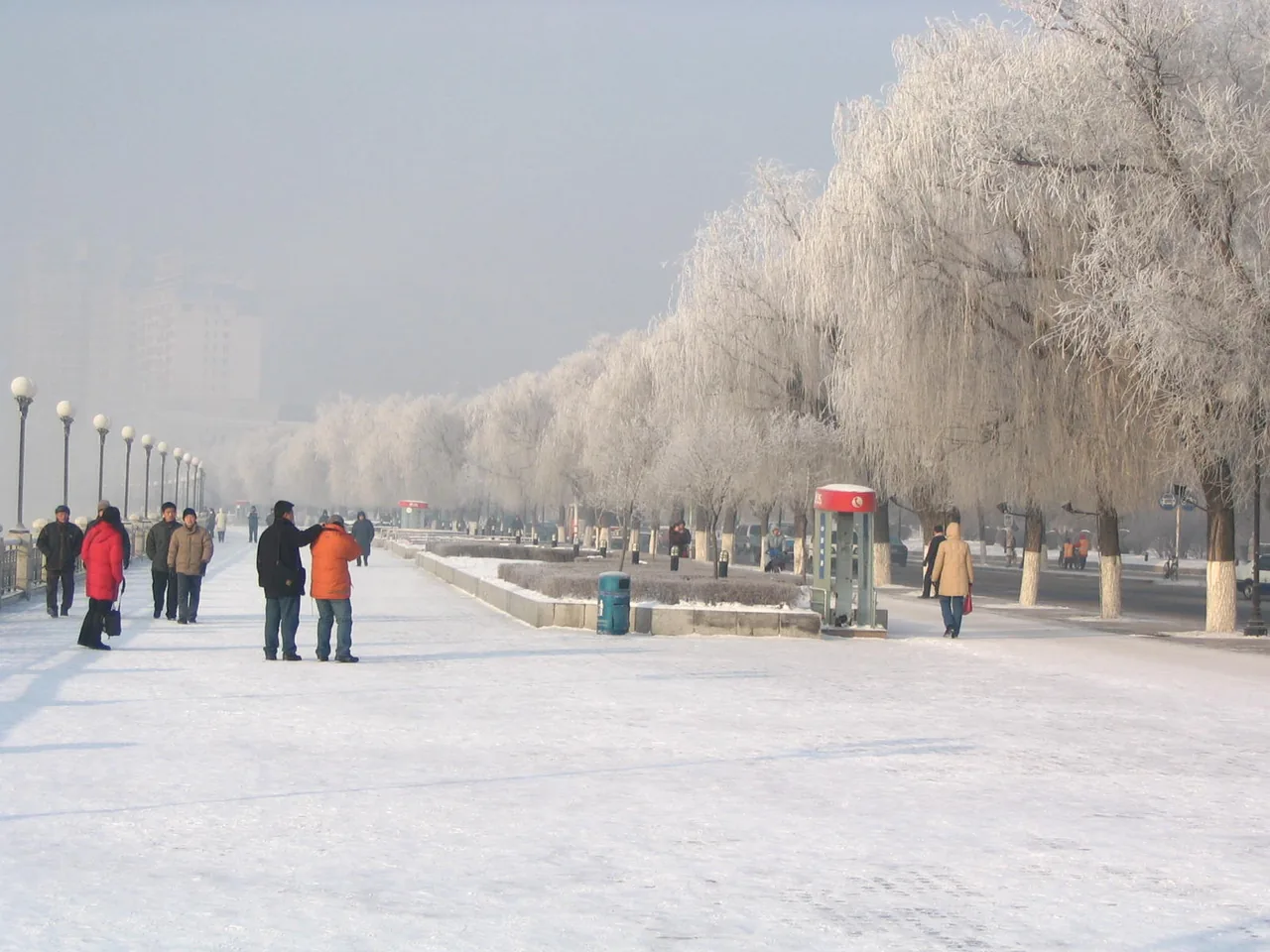 Jilin Hometown Culture